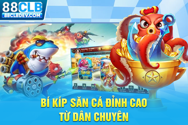 Bí kíp săn cá đỉnh cao từ dân chuyên