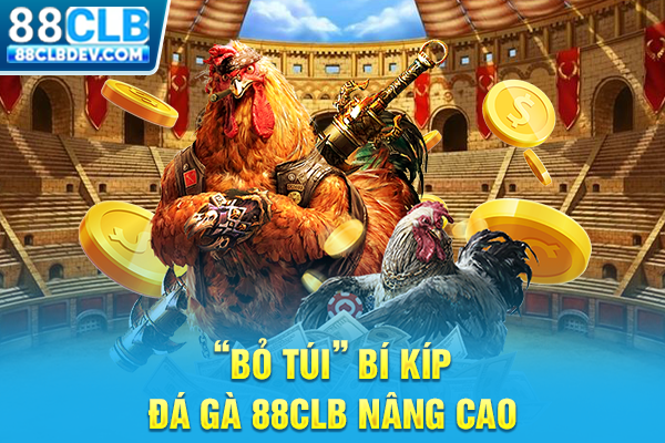 “Bỏ túi” bí kíp đá gà 88CLB nâng cao