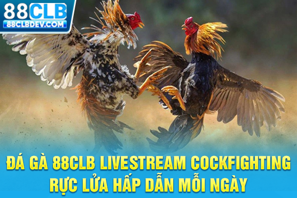 Đá Gà 88CLB Livestream Cockfighting Rực Lửa Hấp Dẫn Mỗi Ngày