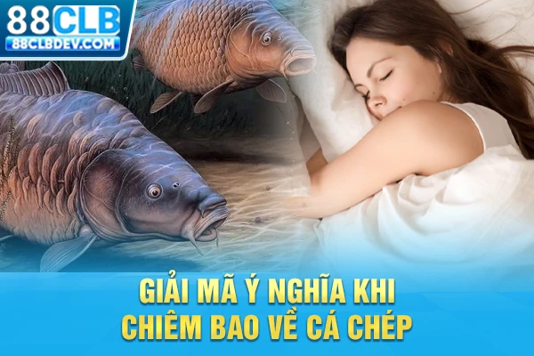 Giải mã ý nghĩa khi chiêm bao về cá chép