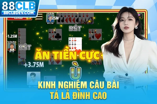 Cách Chơi Phỏm Sắp Xếp Bài Chuẩn Xác Dành Cho Người Mới 2026 Kinh nghiệm câu bài Tá Lả đỉnh cao