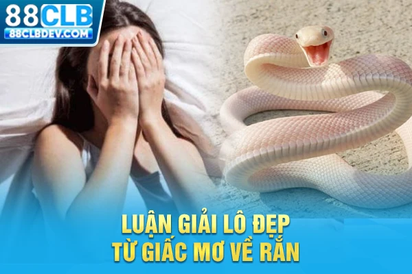 Mơ Thấy Rắn Là Điềm Lành Hay Xui Xẻo? Tổng Hợp Số Đẹp 2026 Luận giải lô đẹp từ giấc mơ về rắn