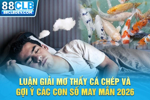 Luận Giải Mơ Thấy Cá Chép Và Gợi Ý Các Con Số May Mắn 2026