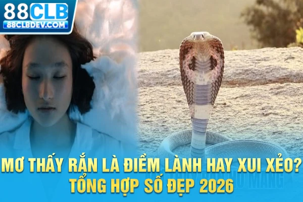 Mơ Thấy Rắn Là Điềm Lành Hay Xui Xẻo? Tổng Hợp Số Đẹp 2026