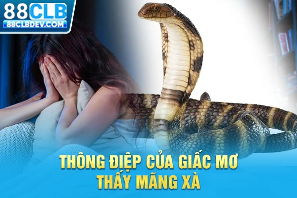 Mơ Thấy Rắn Là Điềm Lành Hay Xui Xẻo? Tổng Hợp Số Đẹp 2026 Thông điệp của giấc mơ thấy mãng xà