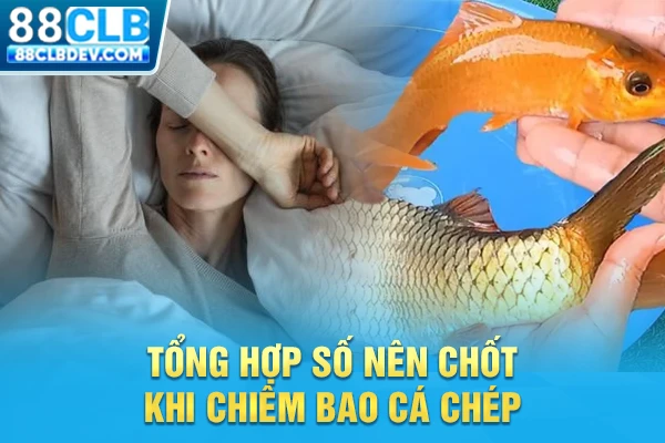 Tổng hợp số nên chốt khi chiêm bao cá chép
